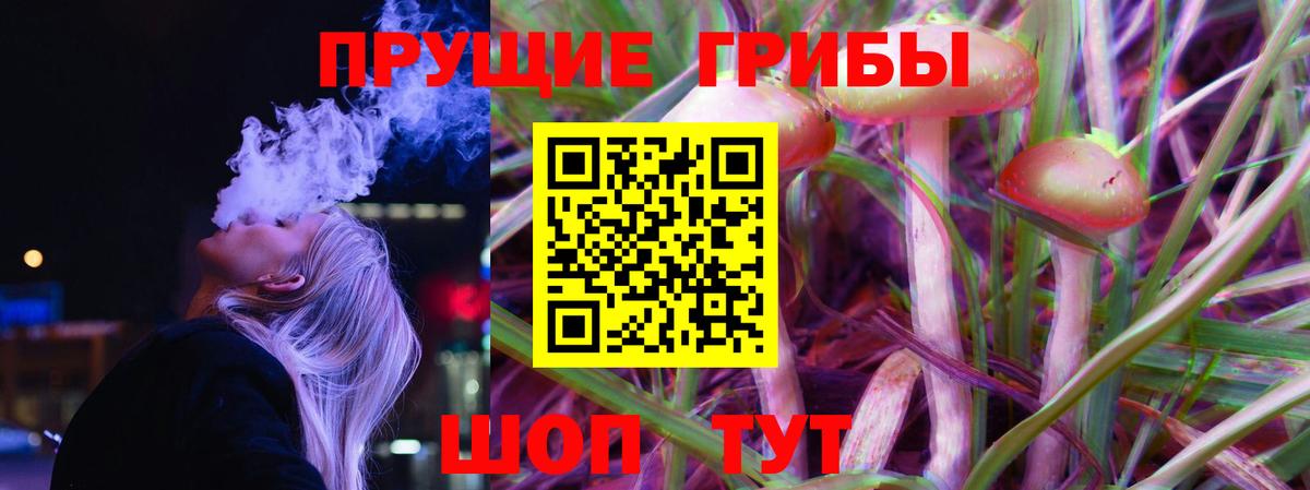 Псилоцибиновые грибы MAGIC MUSHROOMS  закладка  Галлюциногенные грибы ЛСД  Спасск-Дальний  Вход с VPN 